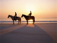 Horseback Riding at Sunset - Yoga Retreat - Mexico