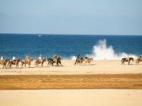 Horseback Riding on the Beach - Yoga Retreat - Mexico