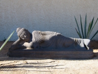 Reclining Buddha Statue - Yoga Retreat - Mexico