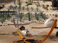 Hammock in the Garden - Yoga Retreat - Mexico