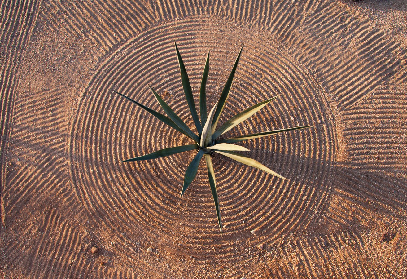 Agave w/ Sand Circle - Yoga Retreat - Mexico