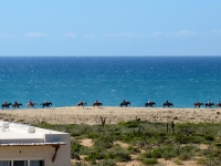 Horseback Riding on the Dune - Yoga Retreat - Mexico