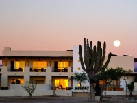 Full Moon - Community Building - Yoga Retreat - Mexico