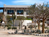 Desert Gardens surround our Community Building - Yoga Retreat - Mexico