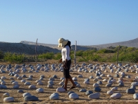 Solo Journey in the Labyrinth - Yoga Retreat - Mexico