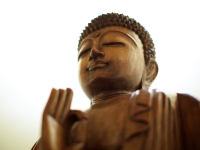 Wooden Buddha in the Moon Studio - Yoga Retreat - Mexico