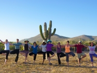 Tree Pose in the Desert - Yoga Retreat - Mexico