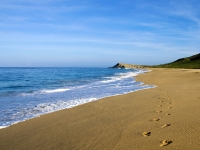 Footprints in the Sand at our Beach - Yoga Retreat - Mexico