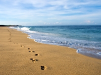 Looking South on our Beach - Yoga Retreat - Mexico