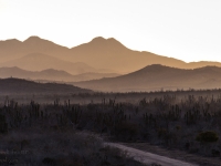 Morning Glow on the Mountains to Start the Day- Yoga Retreat - Mexico