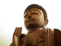 Buddha Sculpture - Yoga Retreat - Mexico