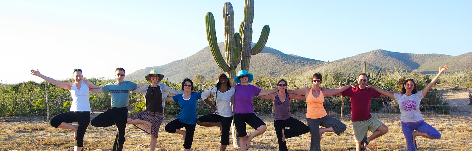 Mexico Yoga Retreats: Tree Pose with Cactus