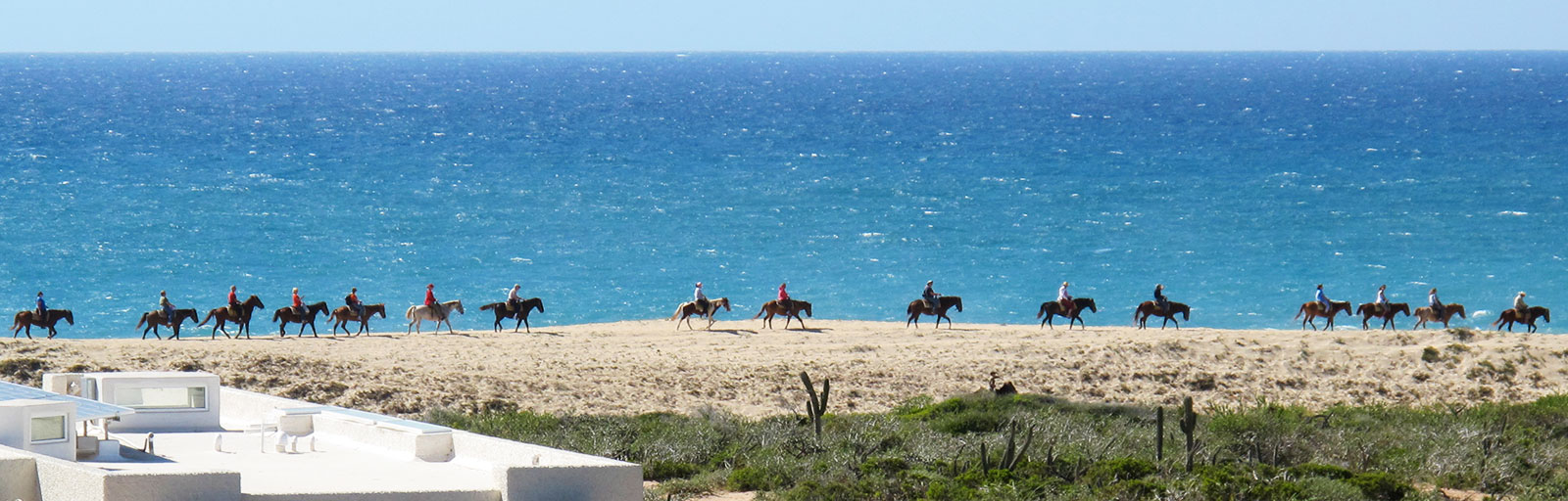 Horseback Riding & Yoga Retreat in Mexico: Beach Ride with Ocean View