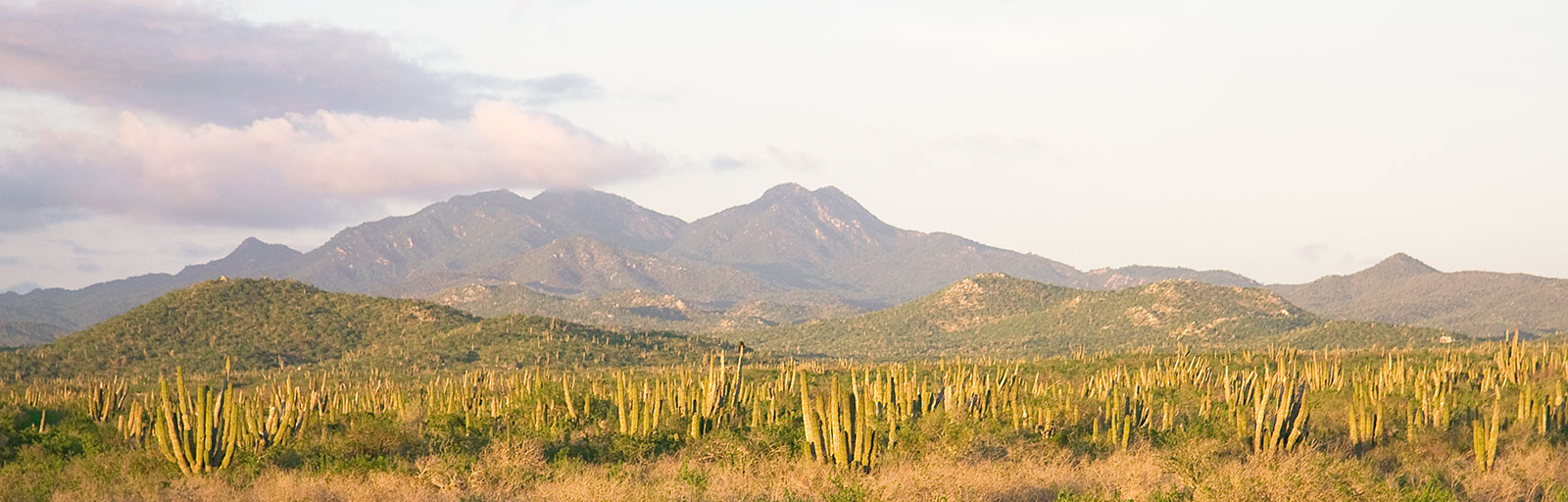 Baja Yoga Retreats in Mexico: Mountains & Desert