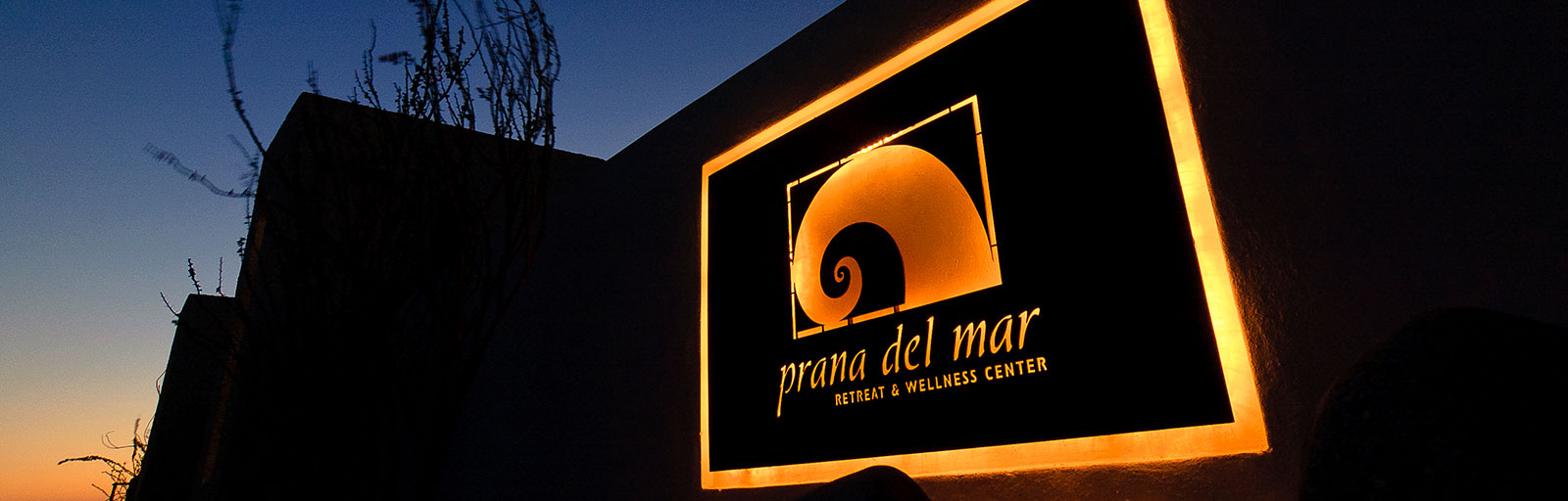 Yoga & Wellness Retreats in Mexico: Welcome to Prana del Mar