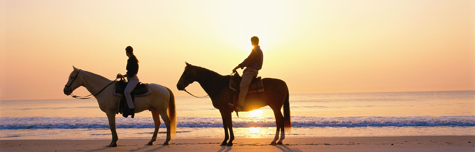 Horseback Riding & Yoga Retreat in Mexico: Sunset on the Beach