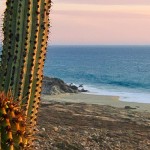BambooMoves Yoga Retreat in Baja